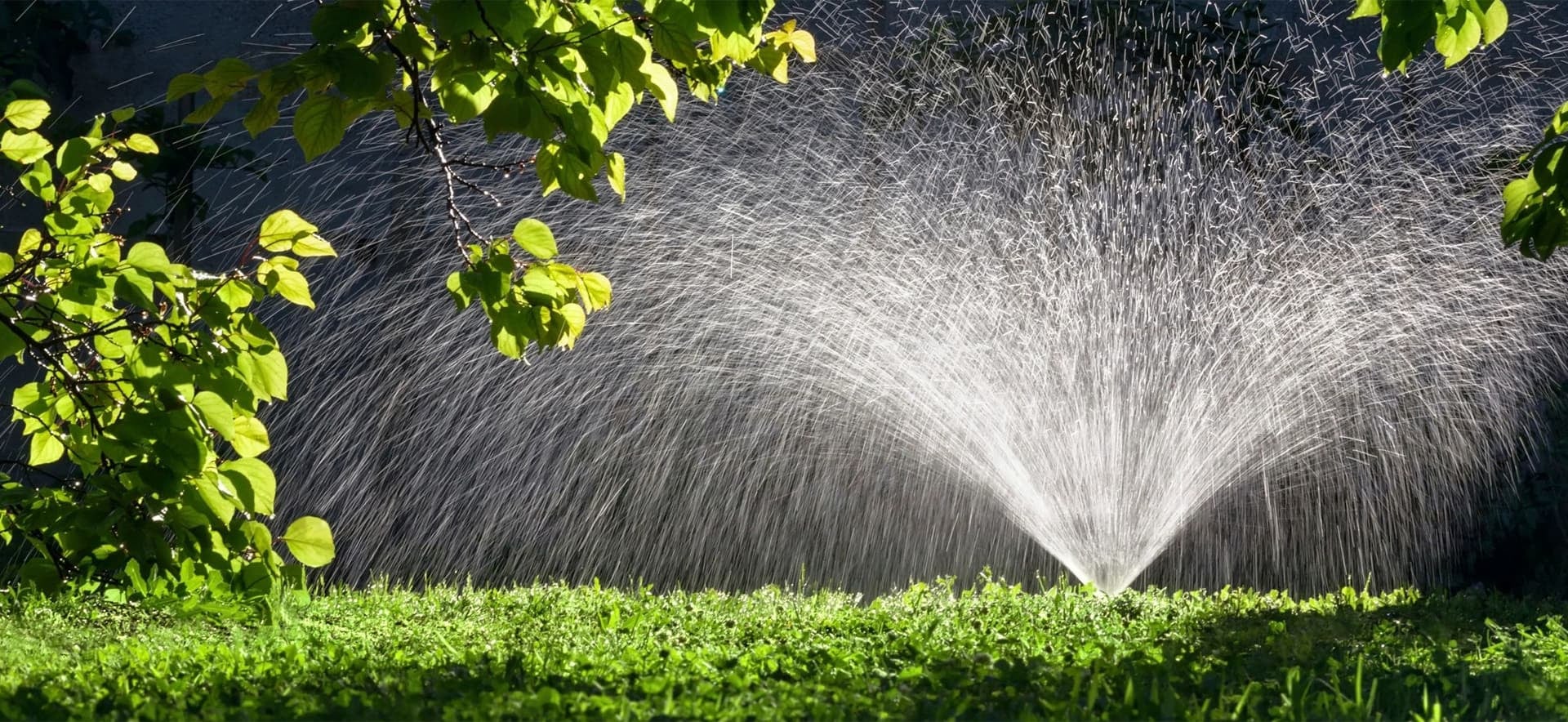 Trusted Expert Drainage Services in Aledo , TX for Homes &amp; Businesses