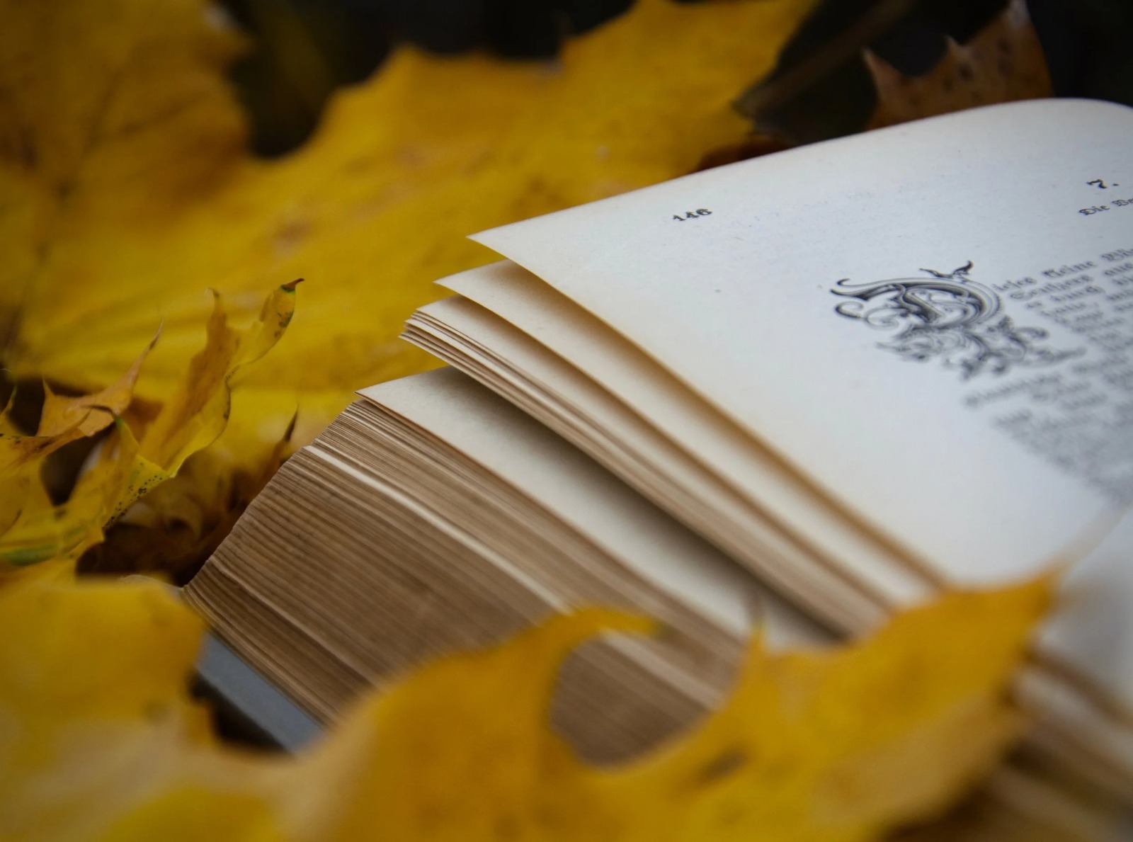 Raynes Legacy Series: Where Magic and Reality Collide