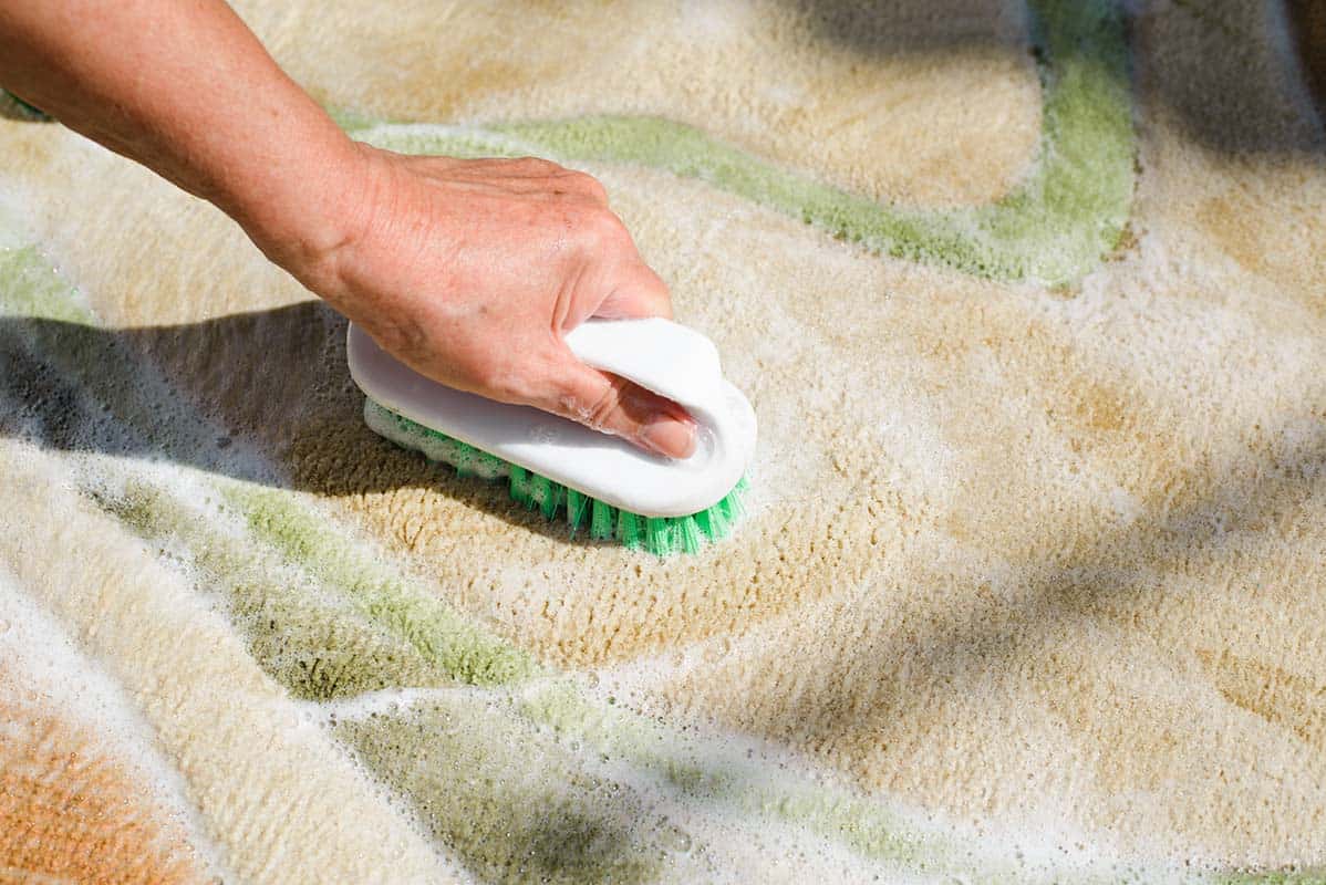 Trusted Services for area rug cleaning bouldin creek austin tx